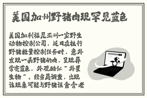 万篇长征zztt50